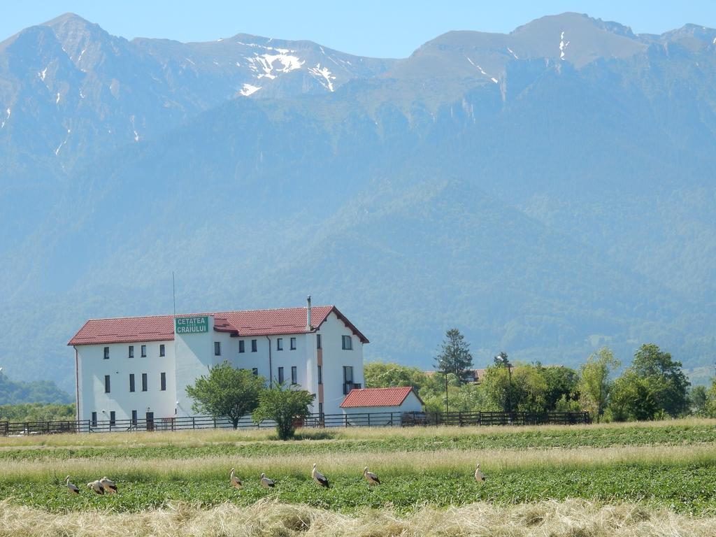 Pensiunea Cetatea Craiului Hotel Risnov Exterior photo