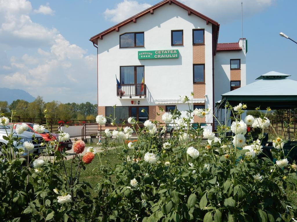 Pensiunea Cetatea Craiului Hotel Risnov Exterior photo