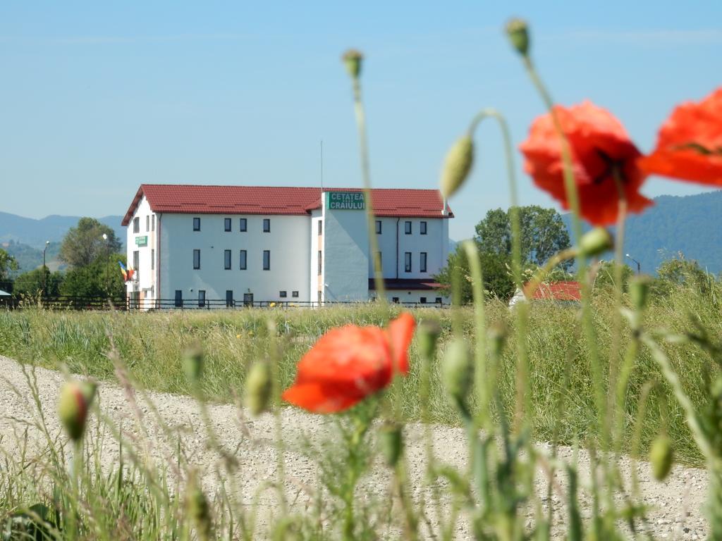 Pensiunea Cetatea Craiului Hotel Risnov Exterior photo