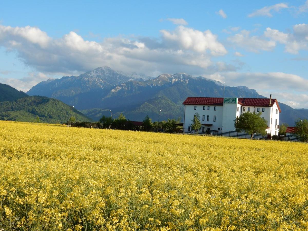 Pensiunea Cetatea Craiului Hotel Risnov Exterior photo